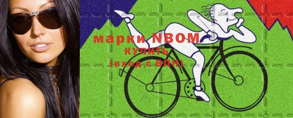 крисы Баксан