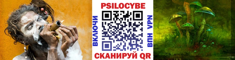 Псилоцибиновые грибы мицелий  Чаплыгин 